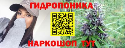 Альфа ПВП Тара