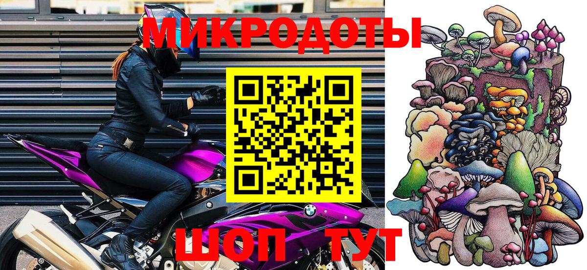 Галлюциногенные грибы Psilocybe Гагарин