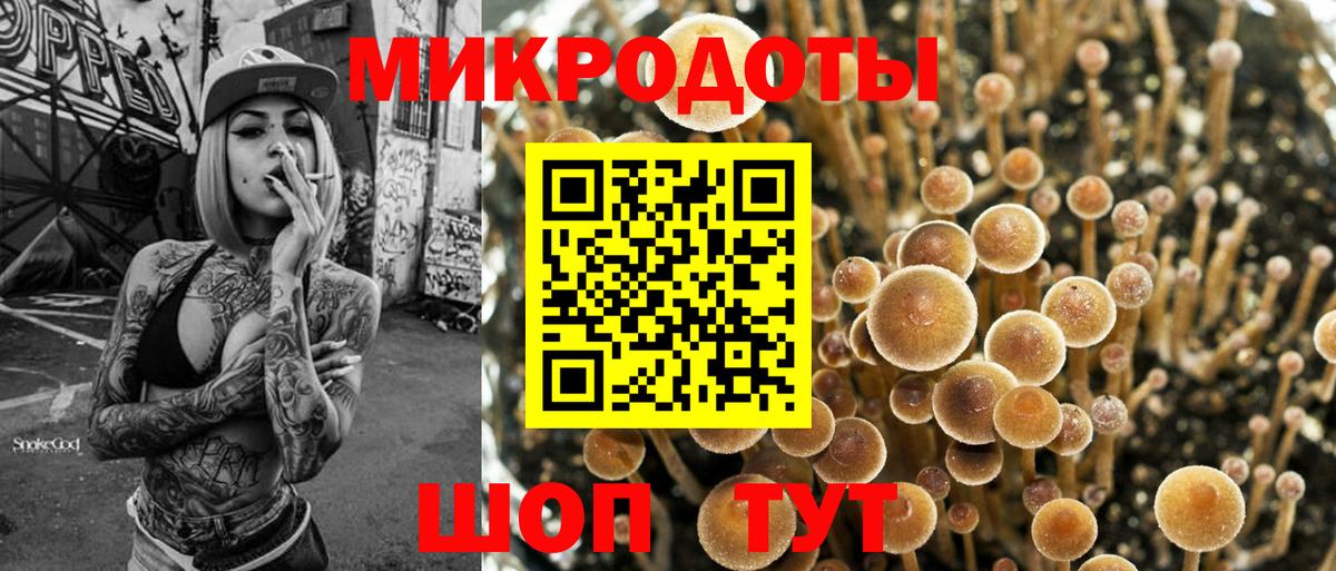 наркошоп  Вход с VPN  Гагарин  Галлюциногенные грибы Psilocybe 