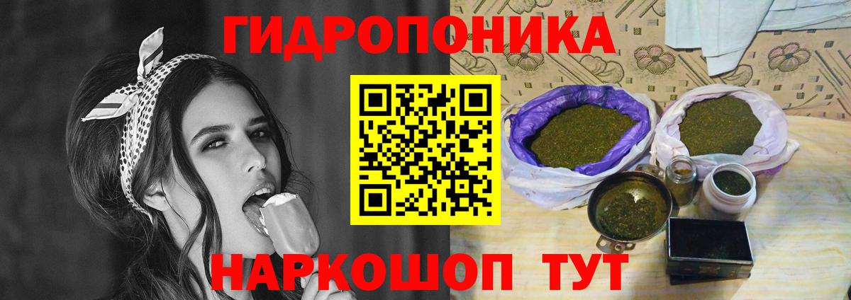 Бошки марихуана Bruce Banner  Вход с VPN  Гагарин  Шишки марихуана гибрид 